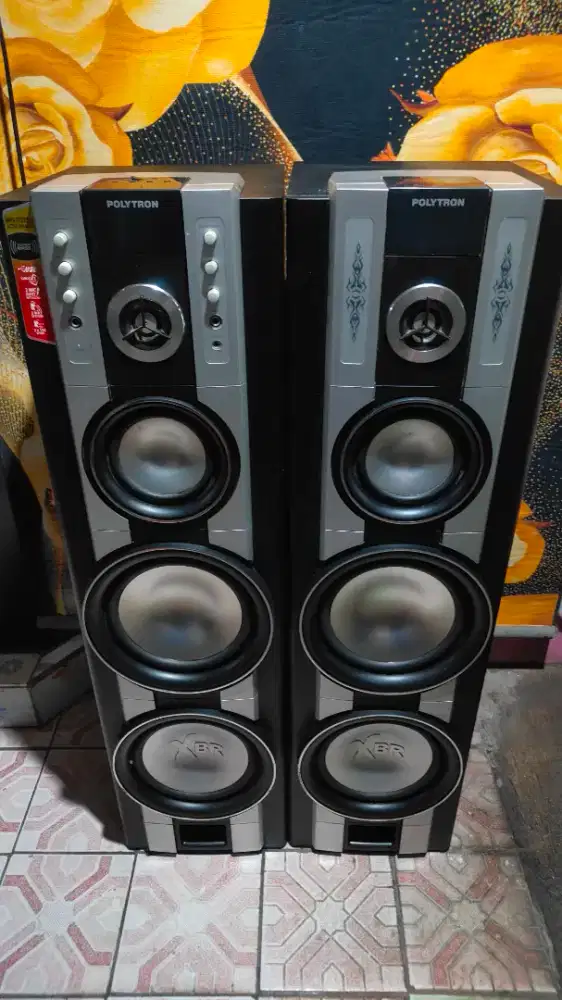 Salon polytron pas68 usb blutut
