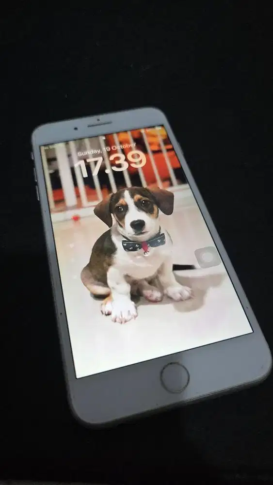 Iphone 8 Plus Mulus
