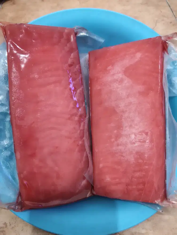 Tuna ikan frozen