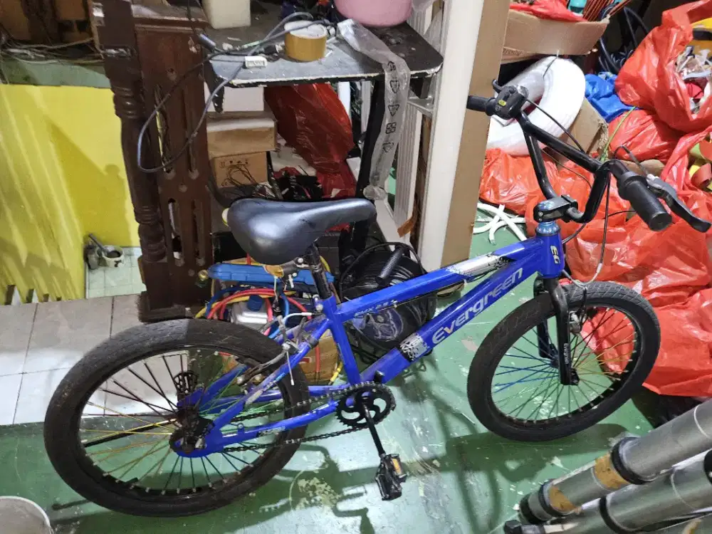 Sepeda merk evegreen