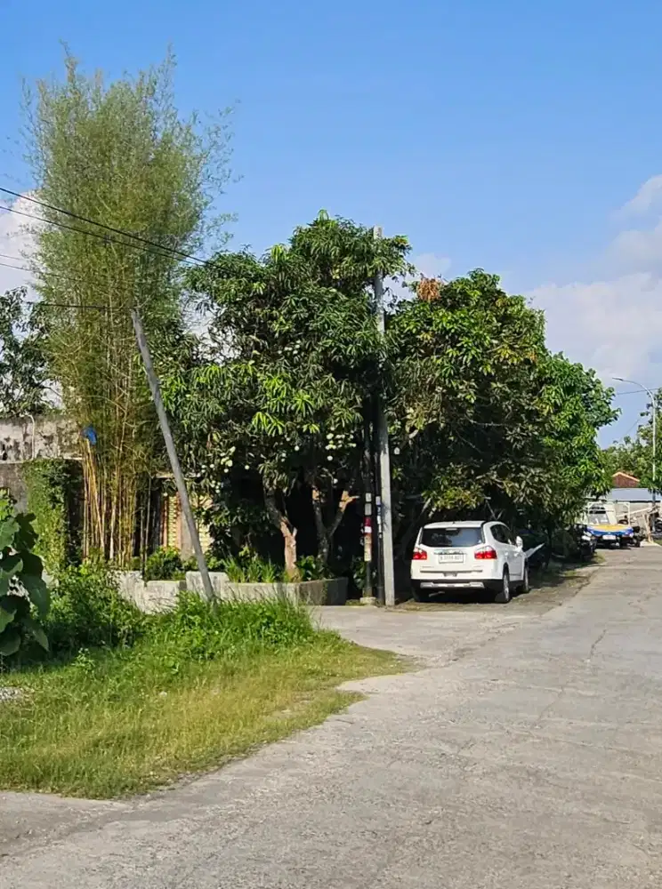 Di jual murah tanah dekat kampus UMY