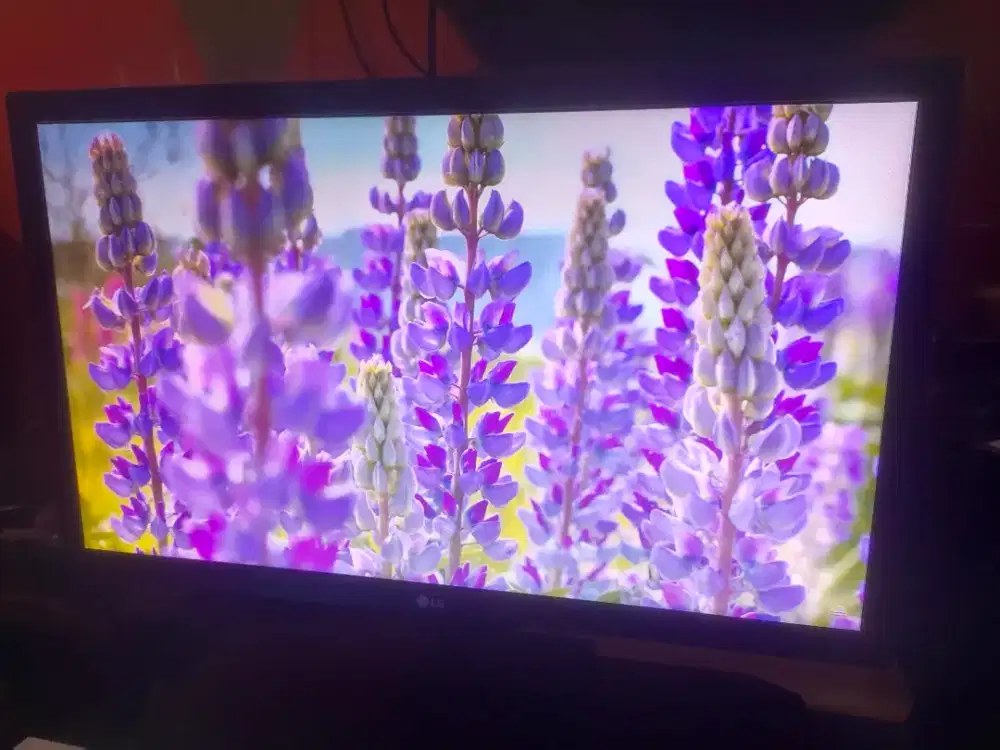 Monitor 22 inch LG HDMI 1080p