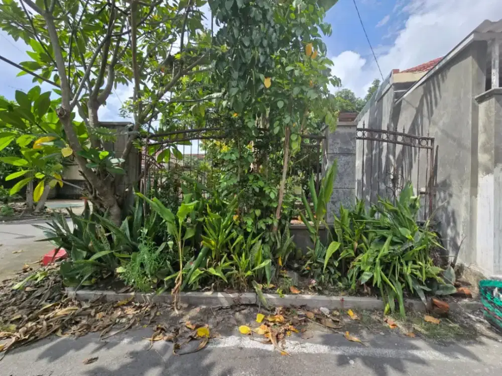 Disewakan atau dijual tanah kota Surakarta