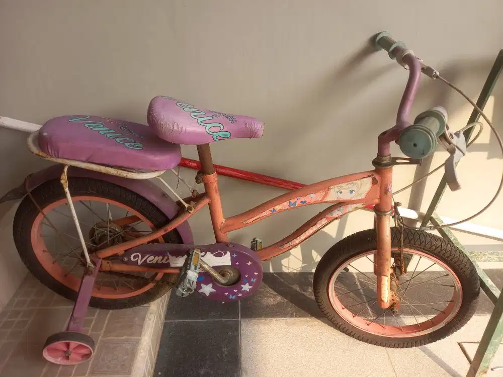 Sepeda Anak bekas