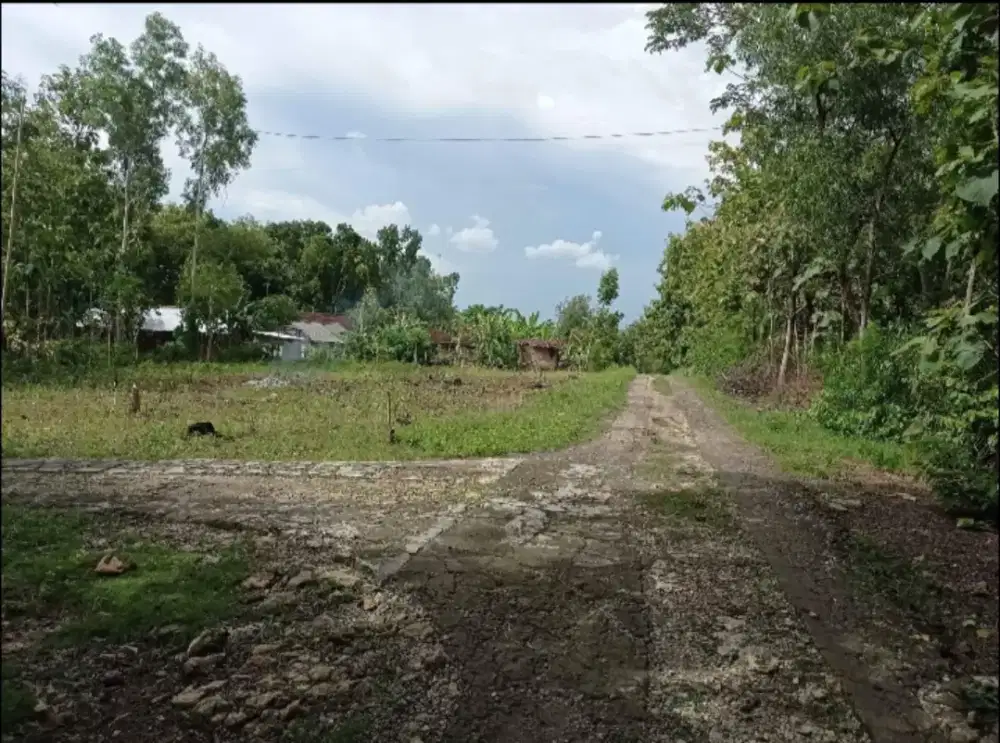 Tanah Banaran Sambungmacan