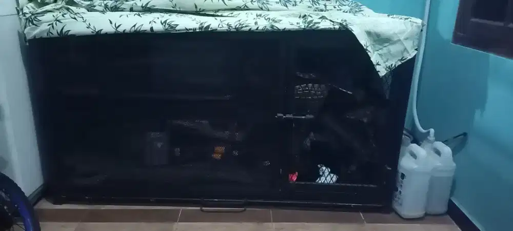 Kandang iguana, kandang kucing, kandang anjing,burung