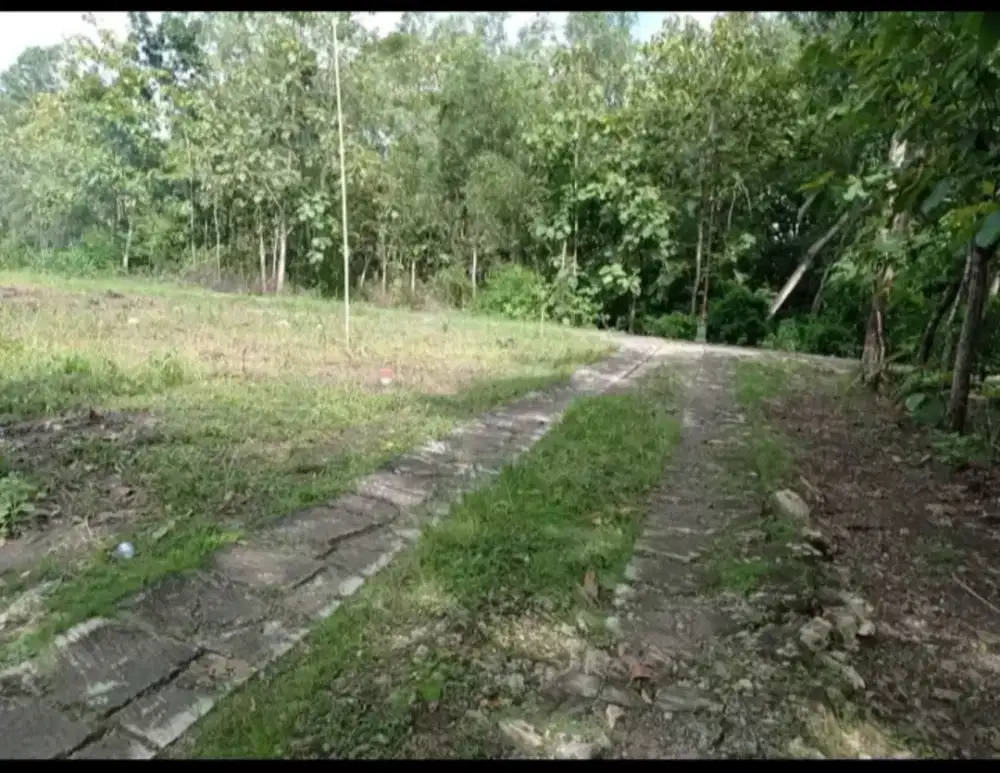 Kavling murah Banaran Sambungmacan