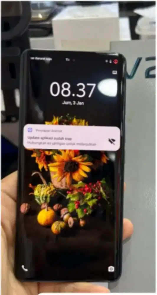 Vivo v25 12/256gb