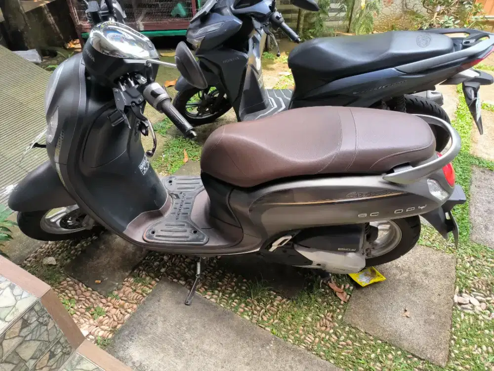 Honda Scoopy Stylish Keyless 2023