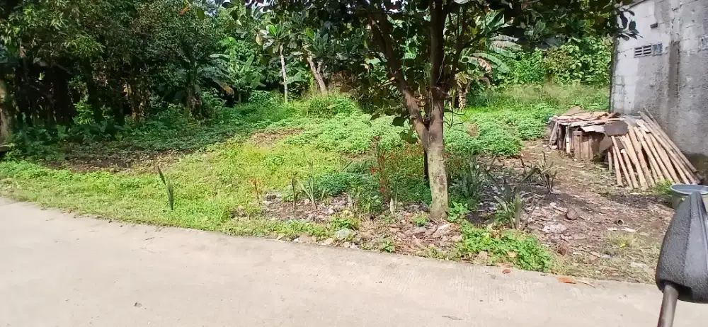 AJUAL TANAH BUAT PERUMAHAN MINIMALIS  DAN  KONPEKSI  GNSINDUR