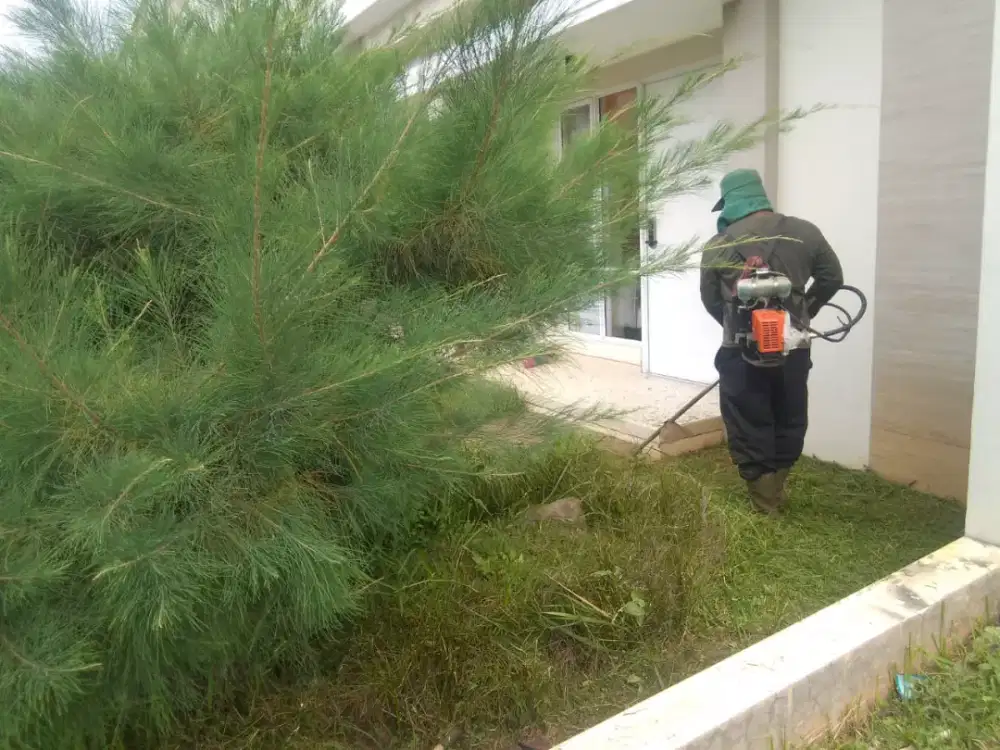 JASA POTONG RUMPUT