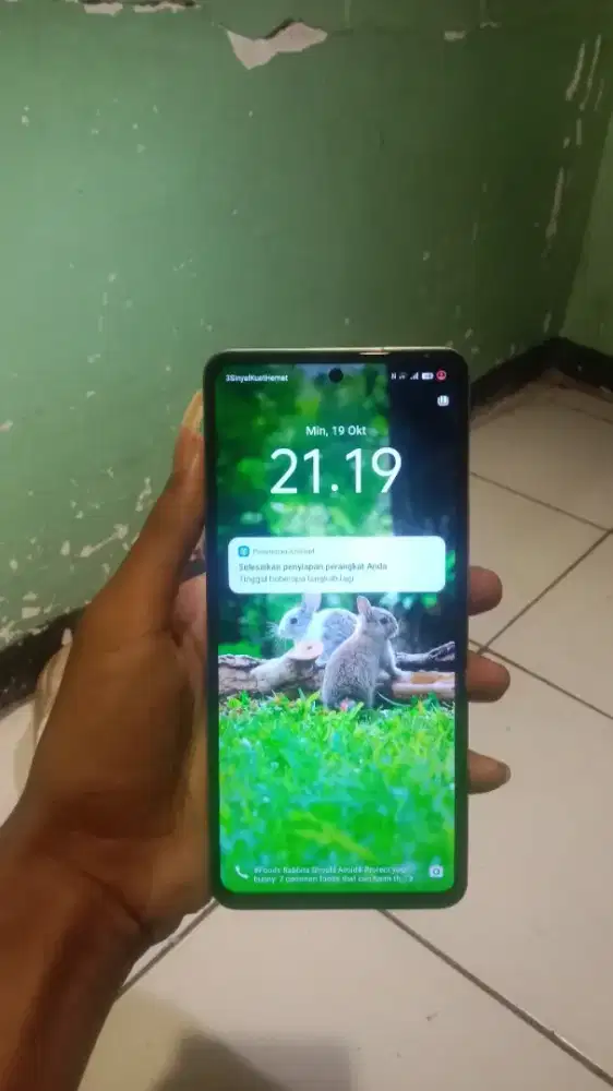 Jual aja vivo y36