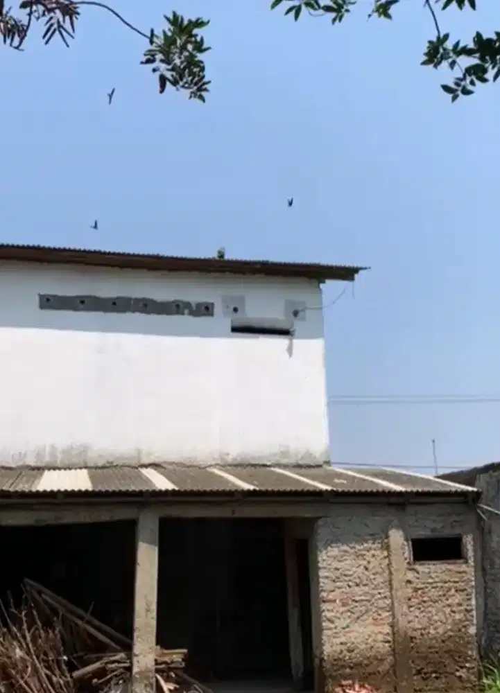 DiJual Rumah Walet Produktif