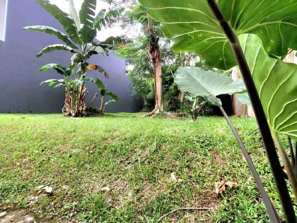 Jual murah kavling besar