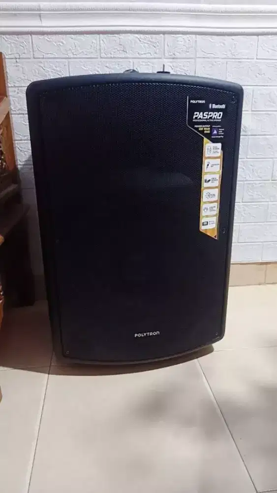 Speaker polytron paspro