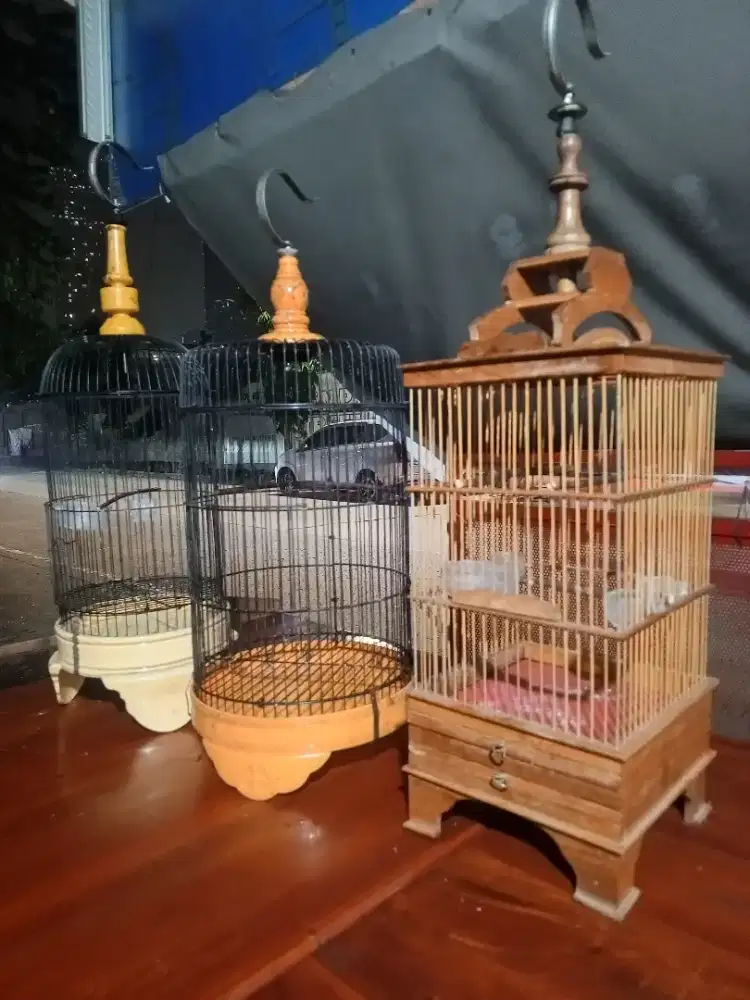 Kandang pleci prenjak ciblek sogon
