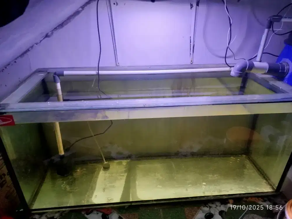 Aquarium 120x50x50 tebal kaca 12mm