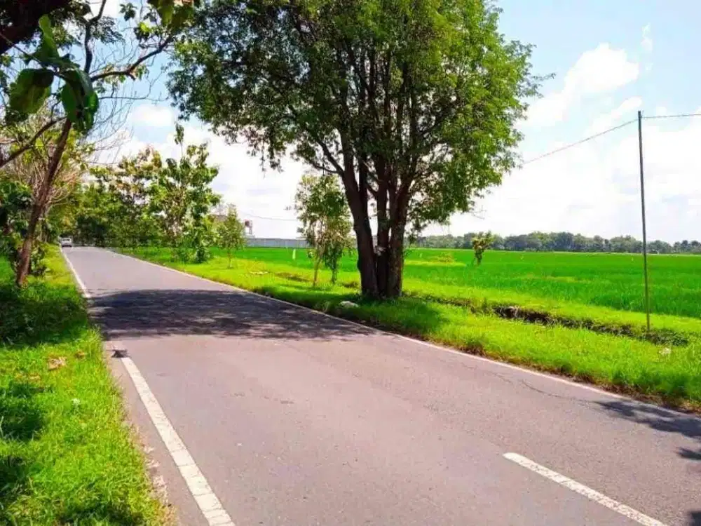 Jual Tanah Besar Zona Merah Industri Sragen Letak Strategis