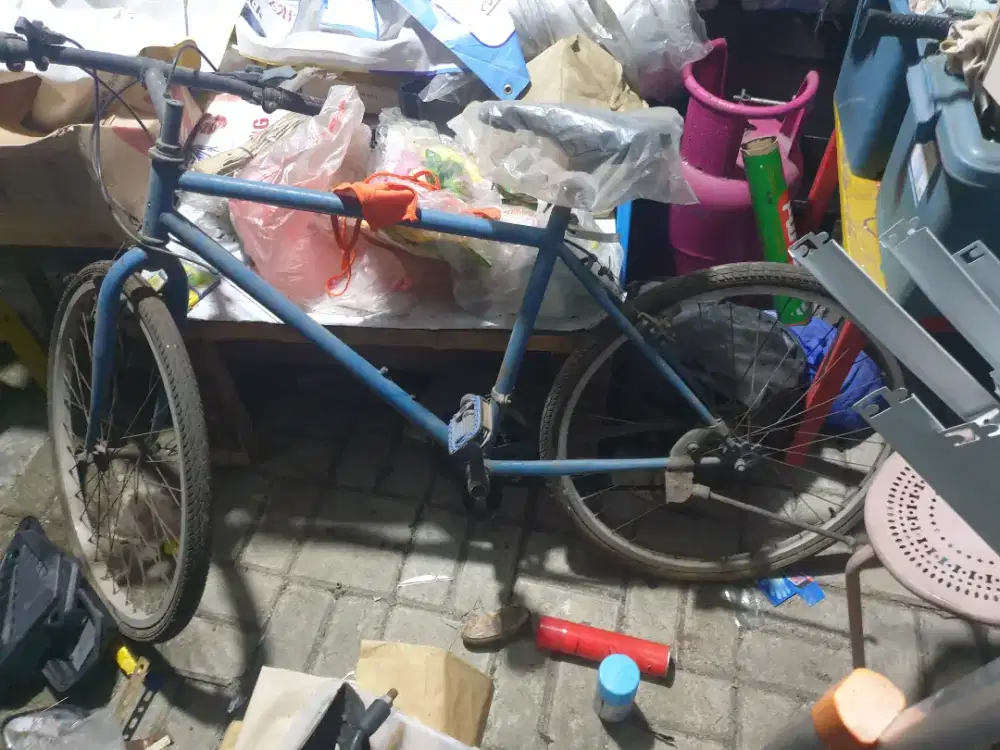 sepeda bekas edisi ga kepake