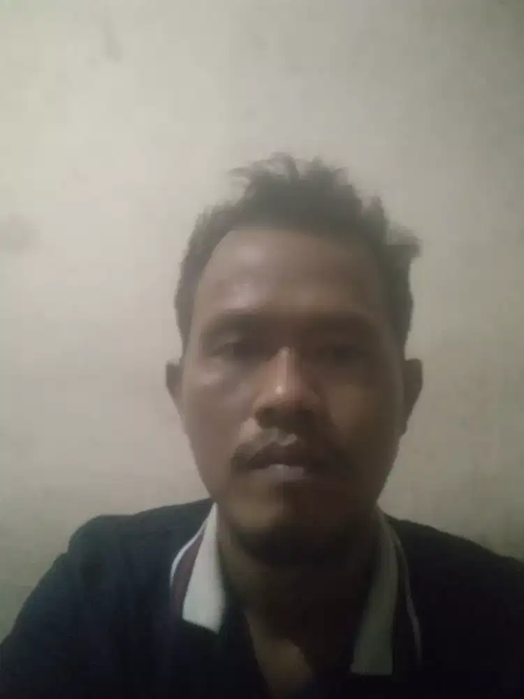 Jasa Driver filinces atau Driver harian