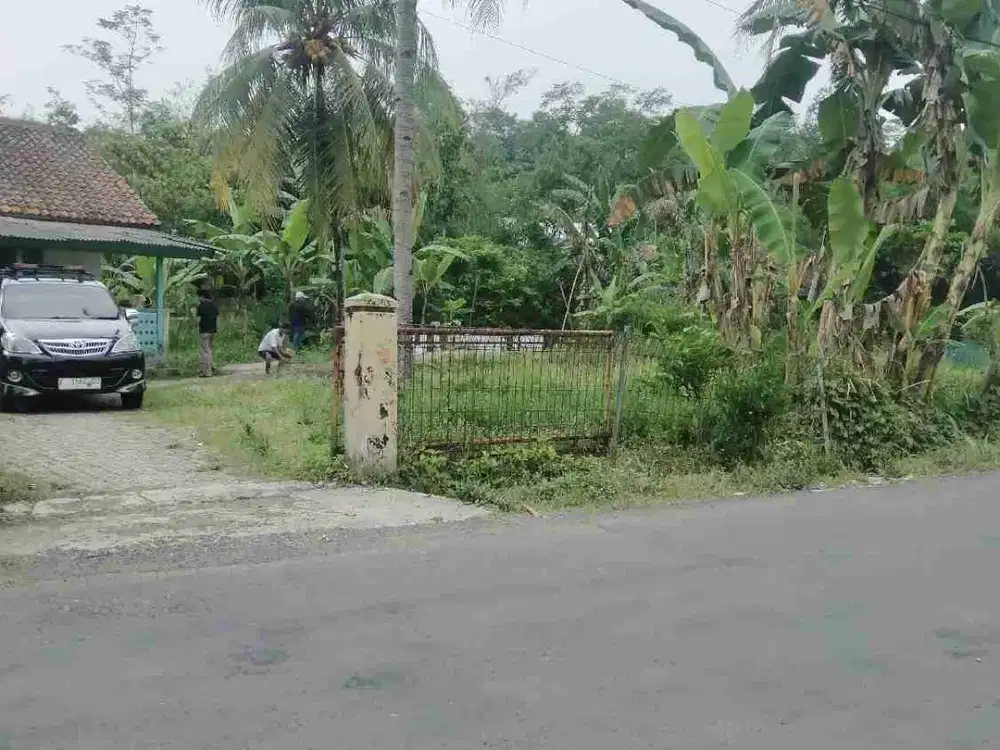 tanah