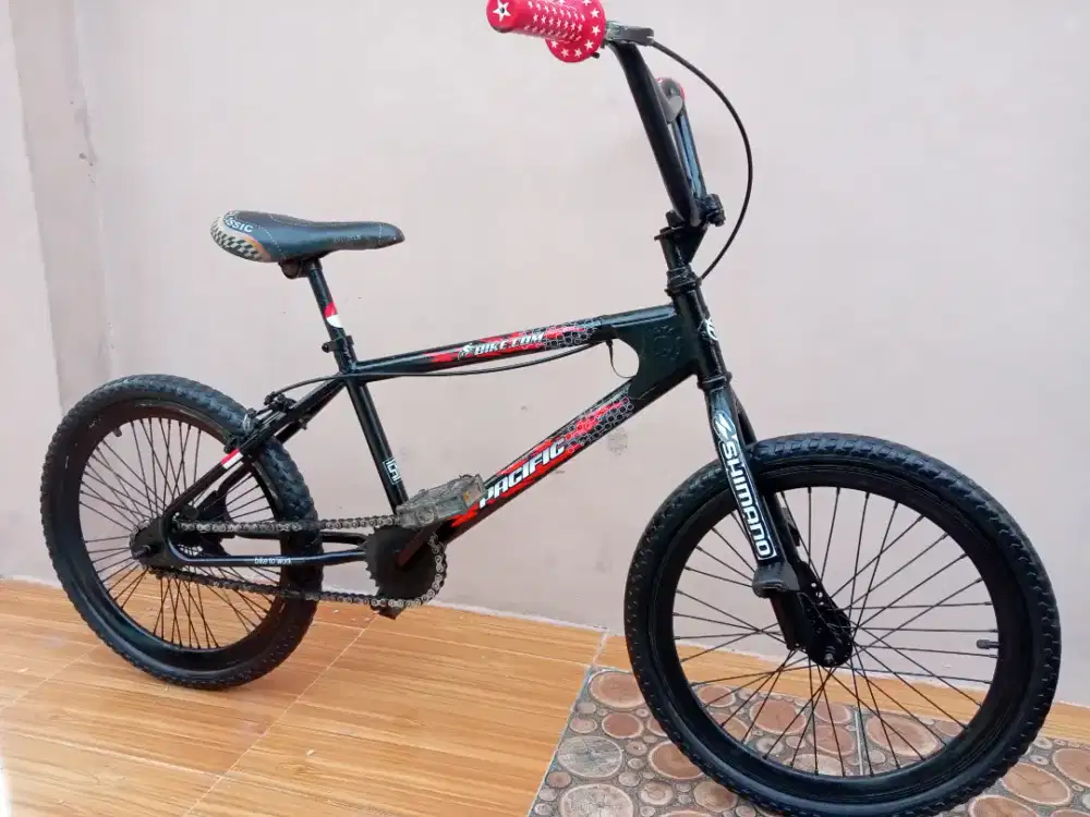 Sepeda Anak BMX Ukuran 20.