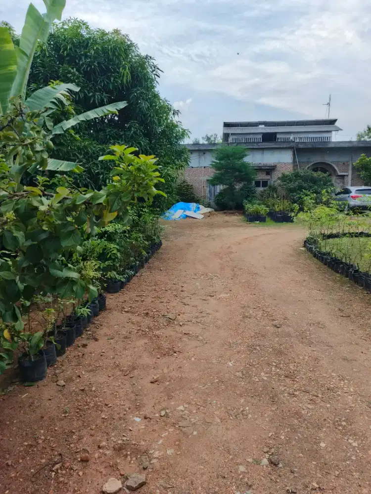 Di jual tanah di metro timur. Metro, lampung