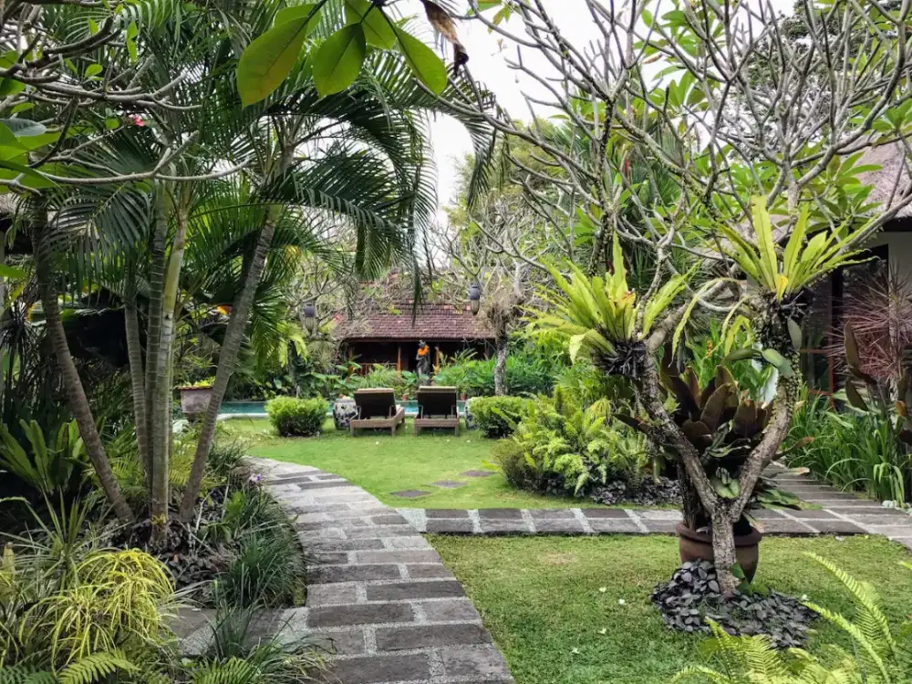 Jual rumput dan taman, villa, rumah, kantor, sekolah, dan taman anak