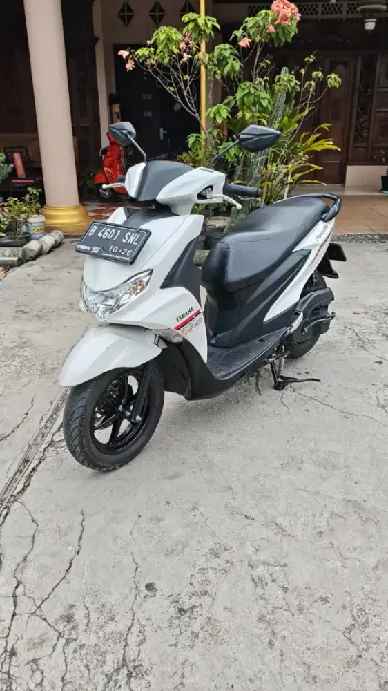 FREEGO 2021 PAJAK PANJANG MULUS