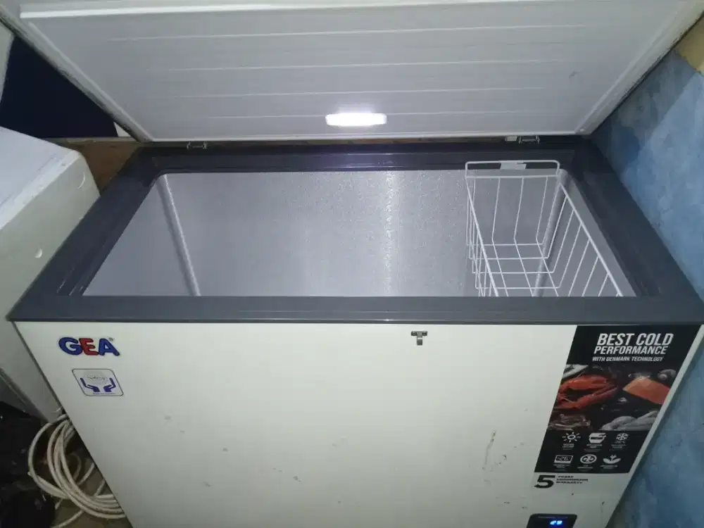 Freezer Box Gea 318L