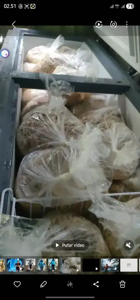 Usus ayam fress ready stok..