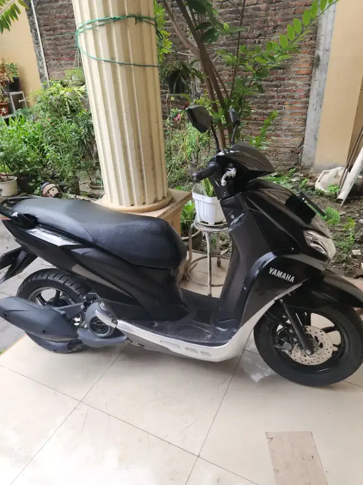 Freego hitam 125cc 2021awal Gbm gandu_baru_motor
