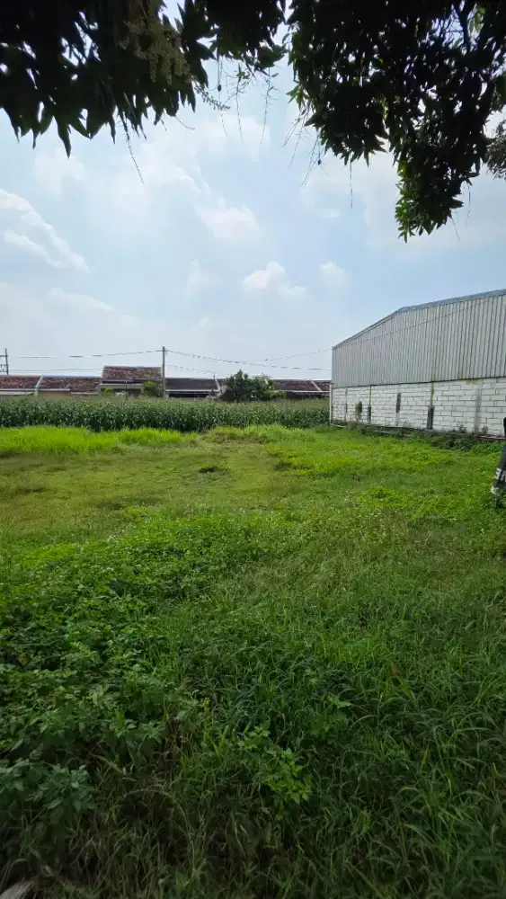 Dijual tanah di Brayung puri mojokerto