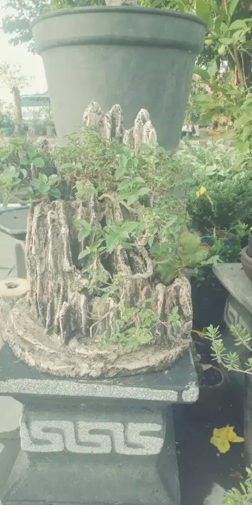 Pot relif Untuk tanaman hias Dan bonsay
