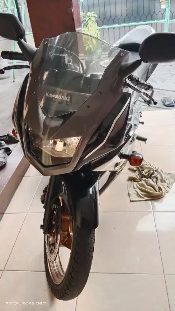 ninja rr 150 2015