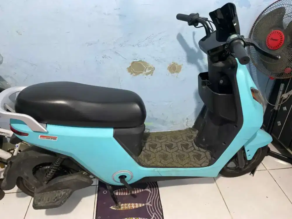 selis winfly d70