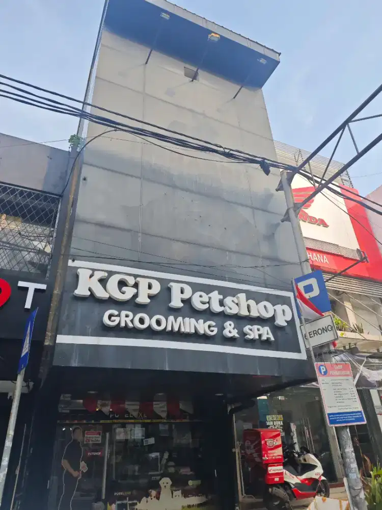 Groomer mandiin anjing dan kucing