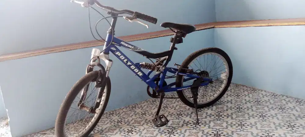 Sepeda anak polygon rapid 20