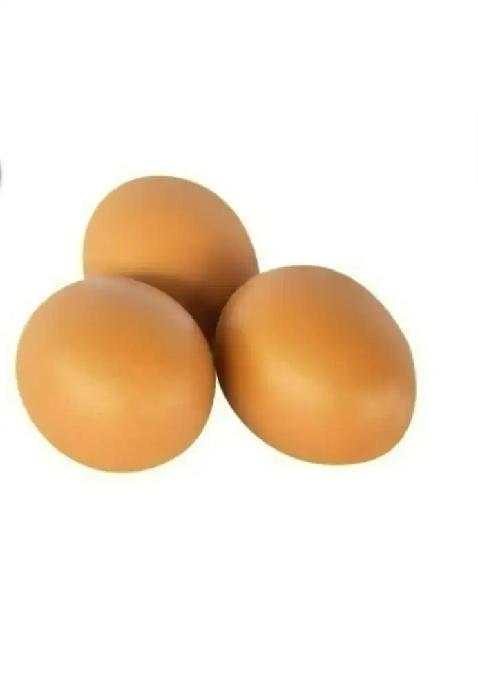 Telur ayam negeri