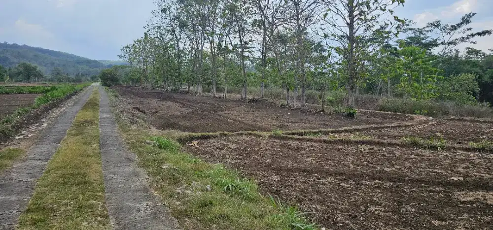 Jual Tanah 7635 m2 SHM Lebar Muka 30 M