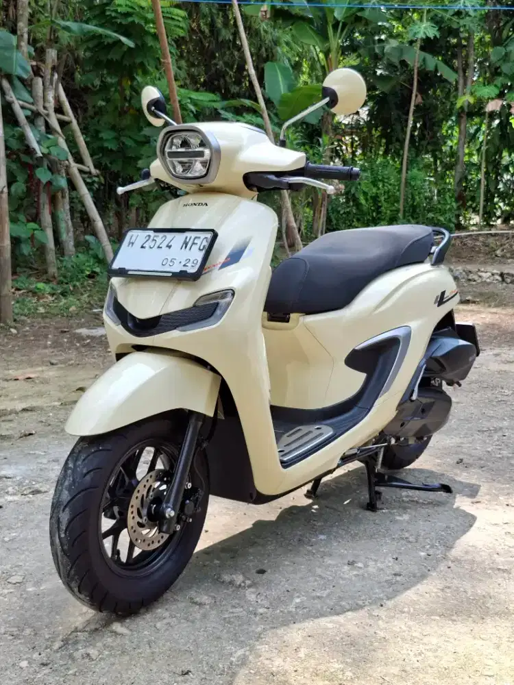 Stylo 160 CBS 2024