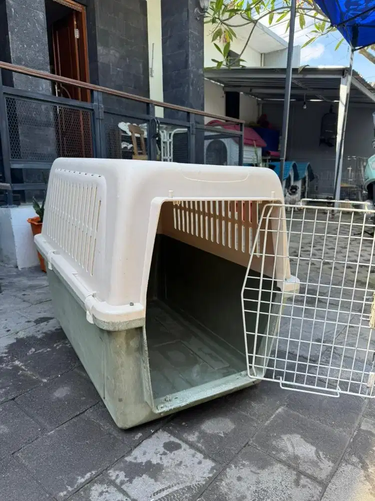 Pet cargo super jumbo