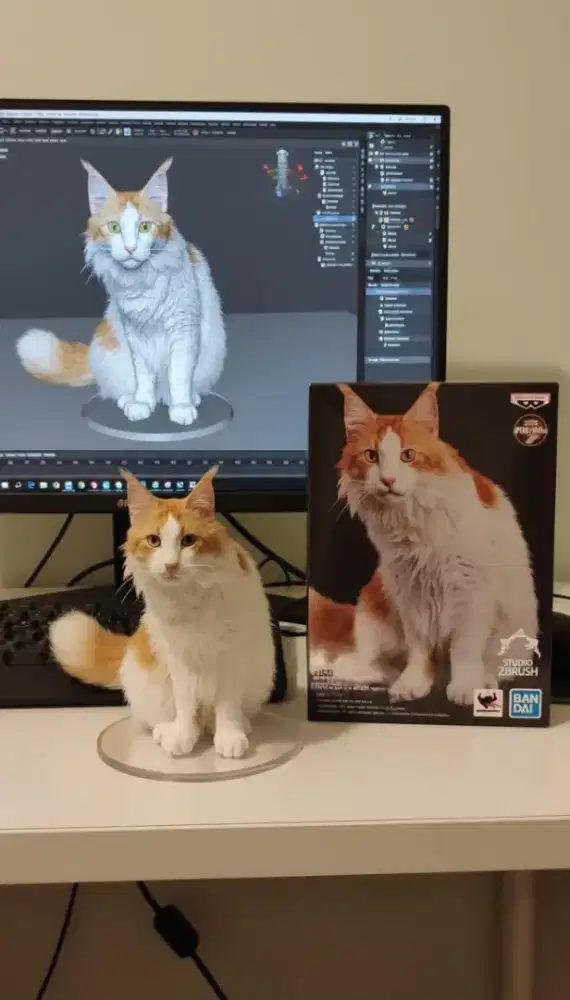 Mainecoon jantan 2th 10 bln