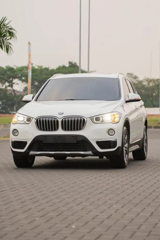 BMW X1 F48 XLine 2019 Panoramic •