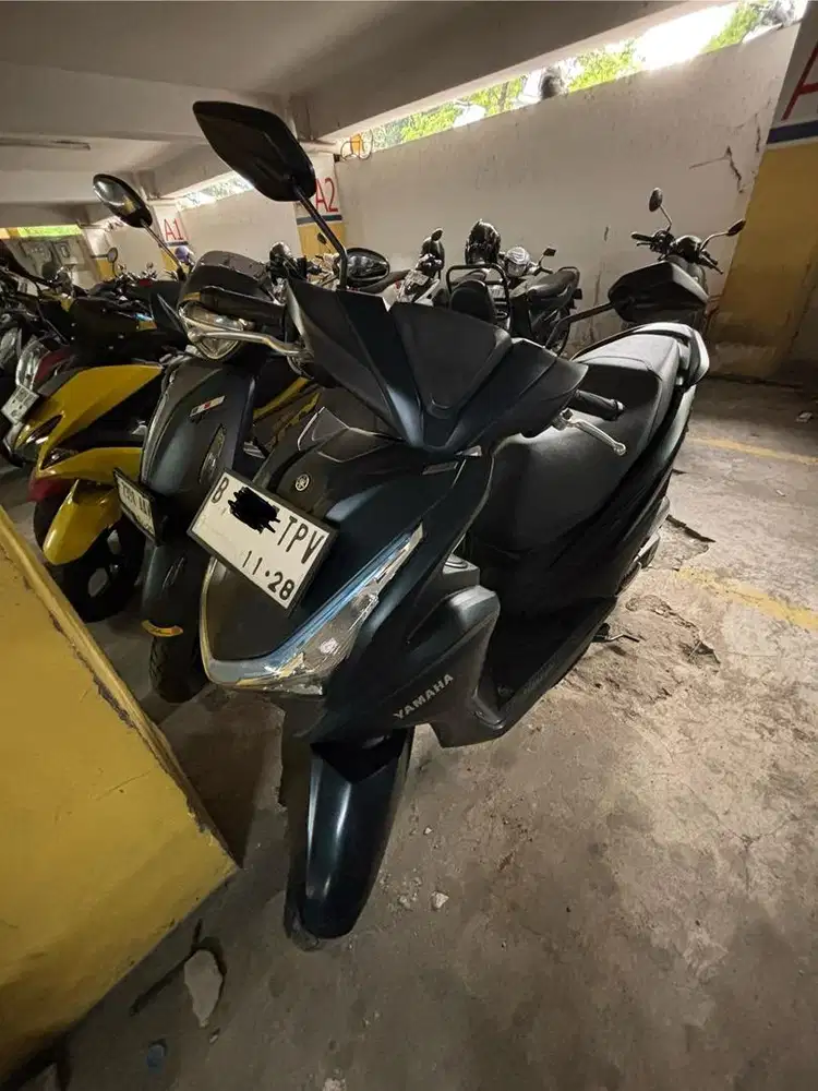 Yamaha Freego Type S