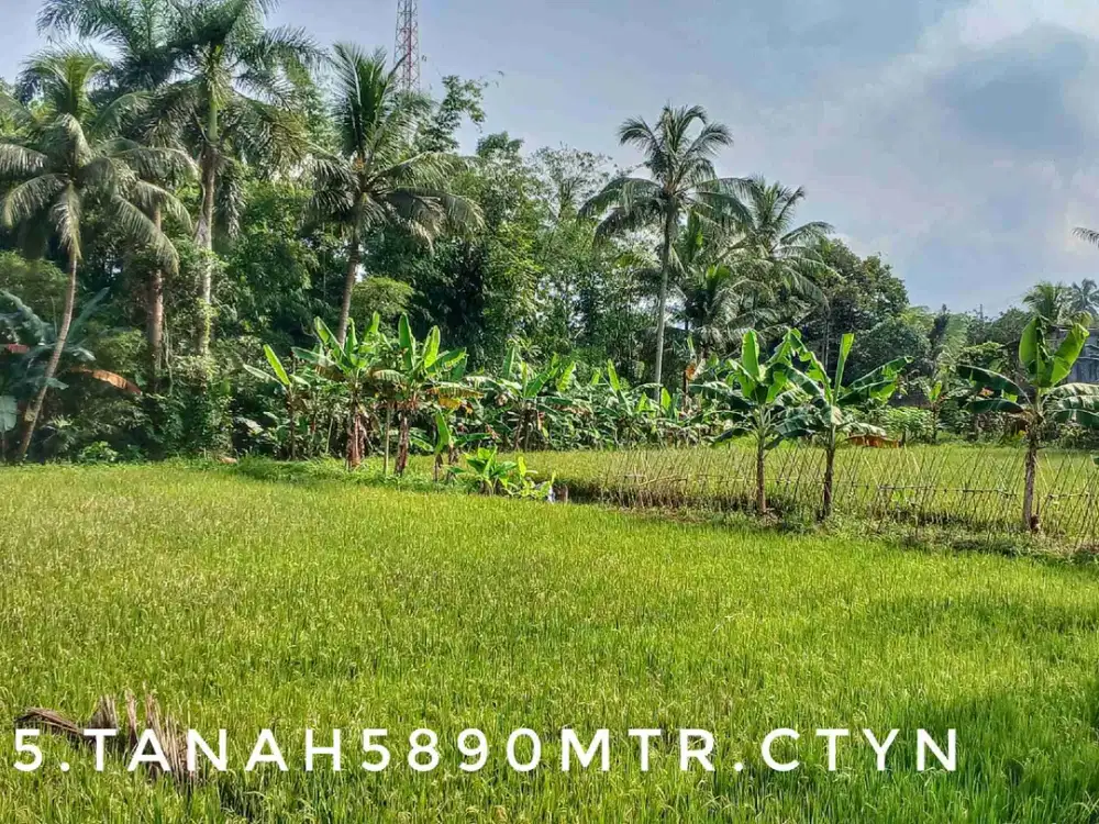 Dijual tanah sawah kebun luas subur pinggir jalan strategis lingkungan asri.