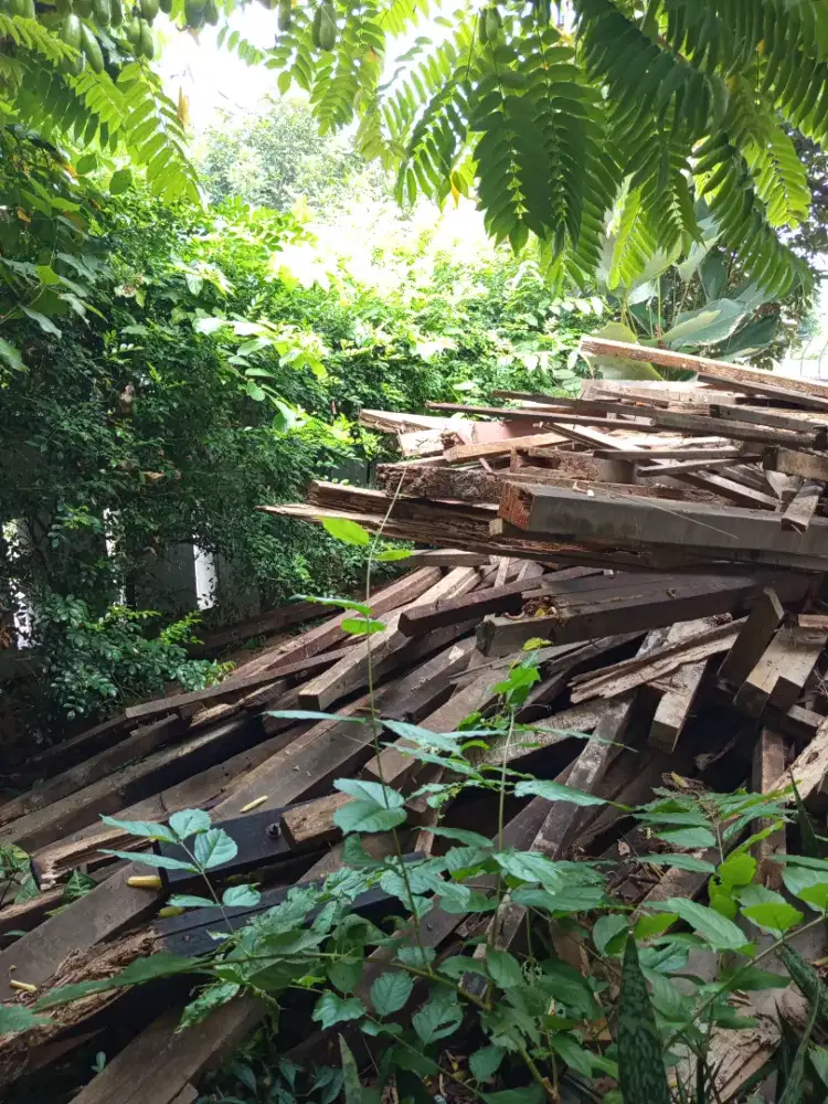 Kayu Bongkaran Atap Gratis