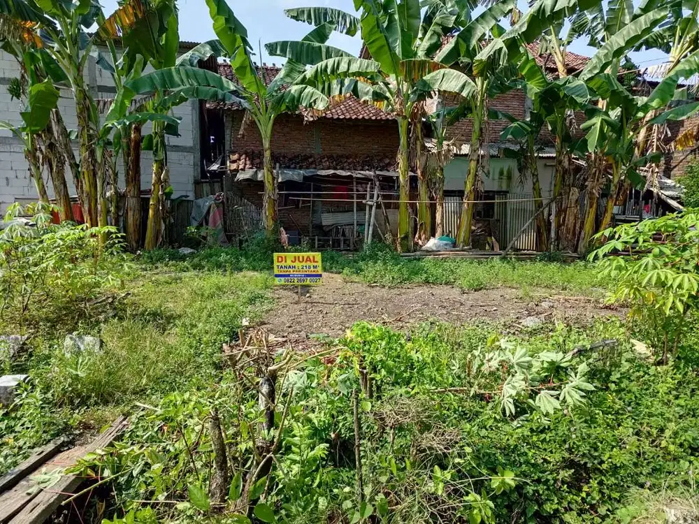 Tanah Demak Dijual