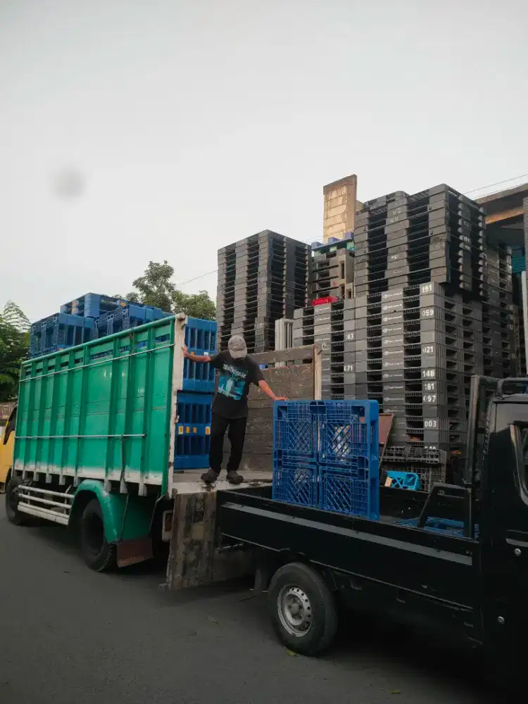 Pallet Plastik Second Bagus Dan Murah