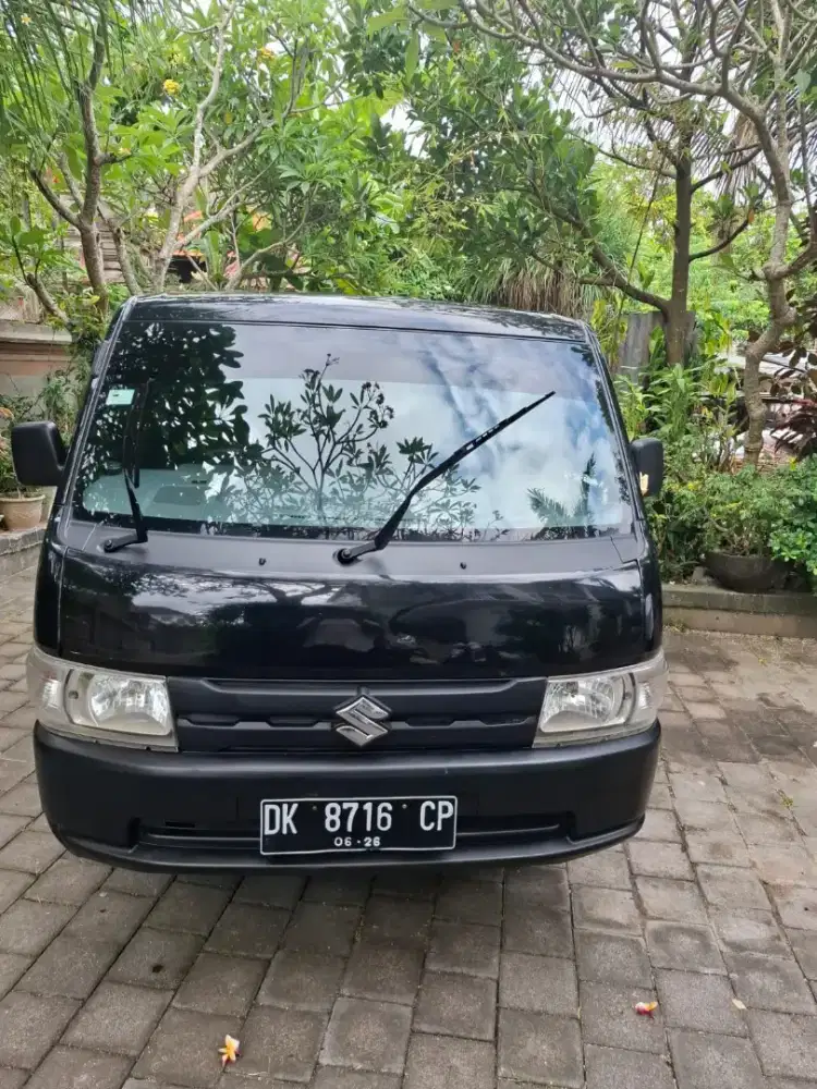 Suzuki carry pick up